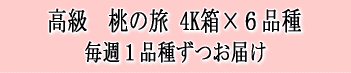 高級 日川白鳳 15