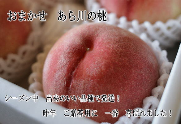 桃　白鳳　桃