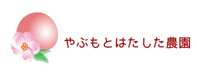 あらかわの桃、和歌山県の桃の通販　販売　｜籔本畑下農園